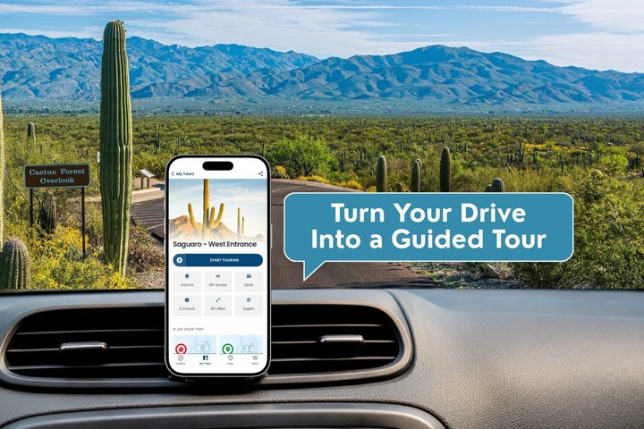 Saguaro National Park Self-Guided Driving Audio Tour - Photo 1 of 24